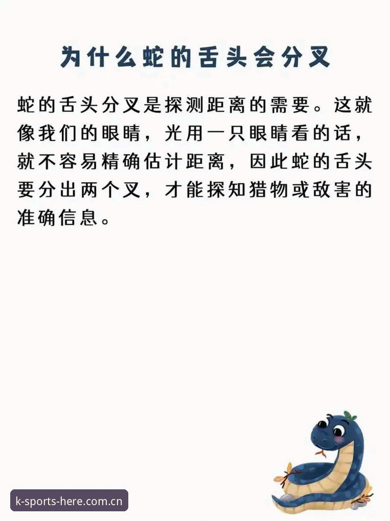 揭秘K体育官方平台的"坐标"玄机：你可能一直找错了入口